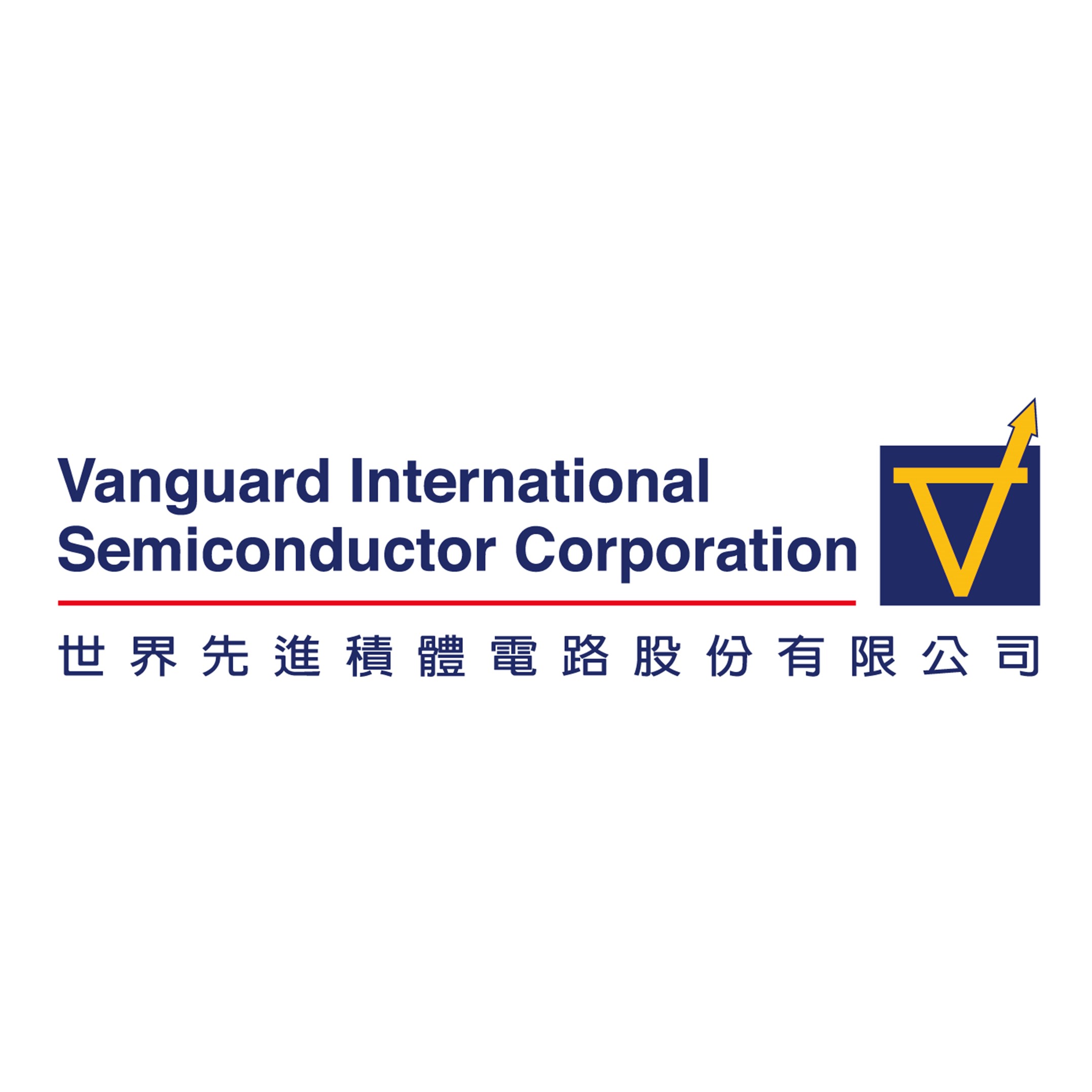 Vanguard International Semiconductor Corporation (VIS)
